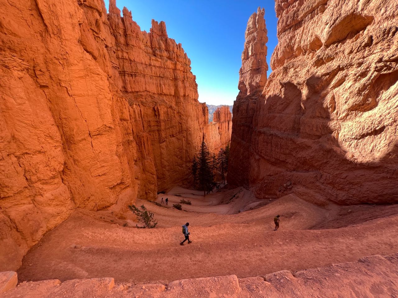 Hikers on switchbacks between orange hoodoo walls