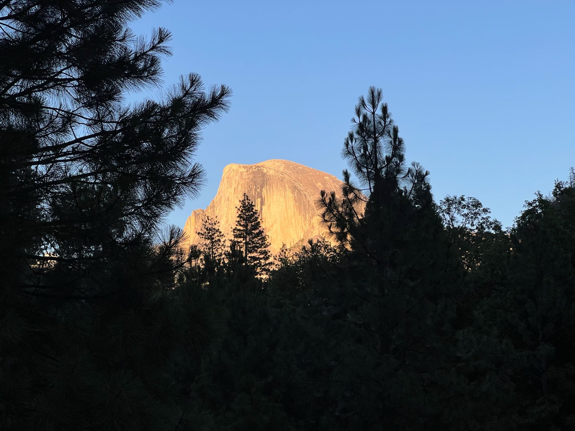 Half Dome glowing orange at sunset above dark pines