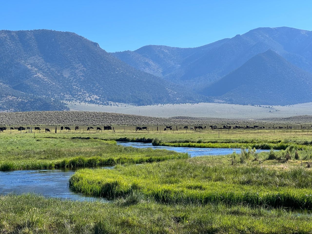 A meandering creek through green meadow below brown mountains