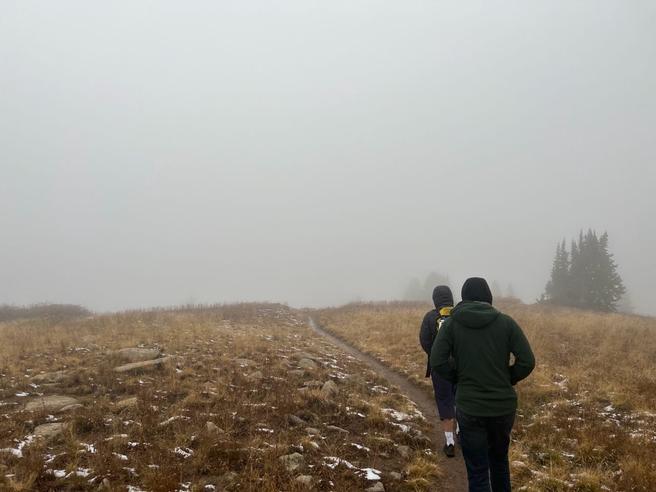 Two hikers on a trail through golden tundra grass in fog
